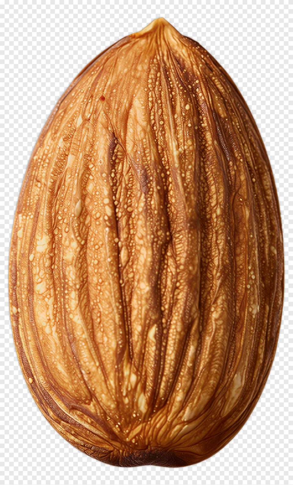 Almond PNG